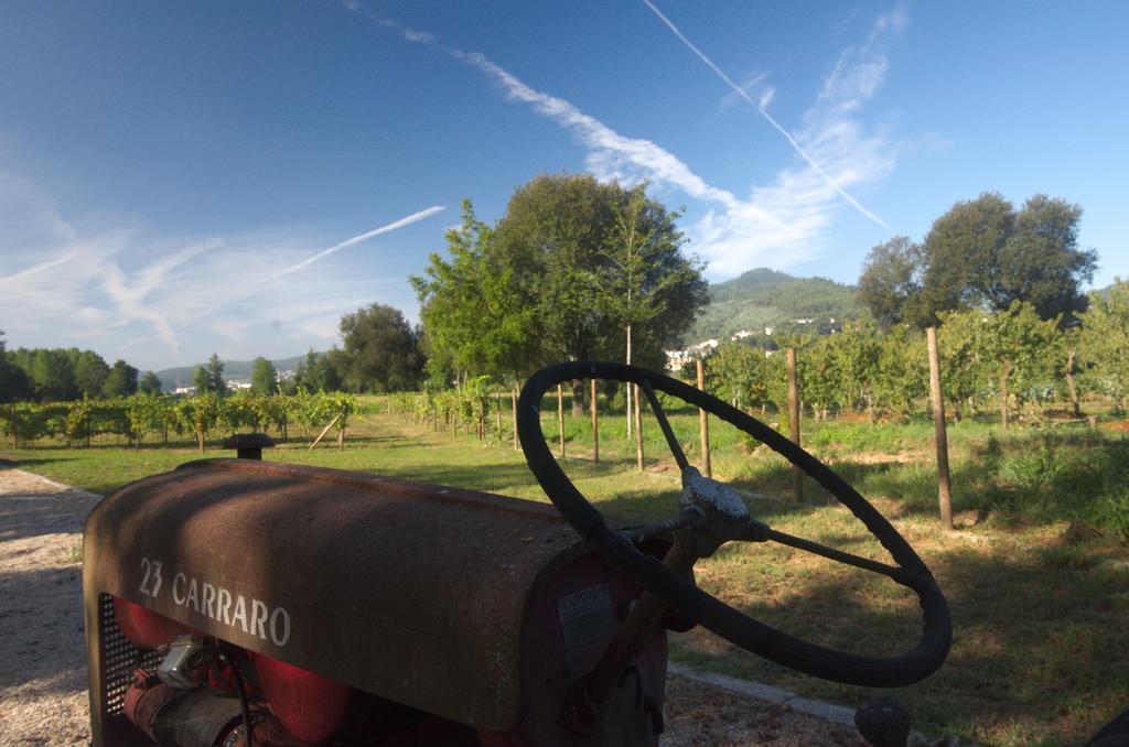 1720 Quinta Da Cancela - Winery & Farmhouse غيمارايش المظهر الخارجي الصورة
